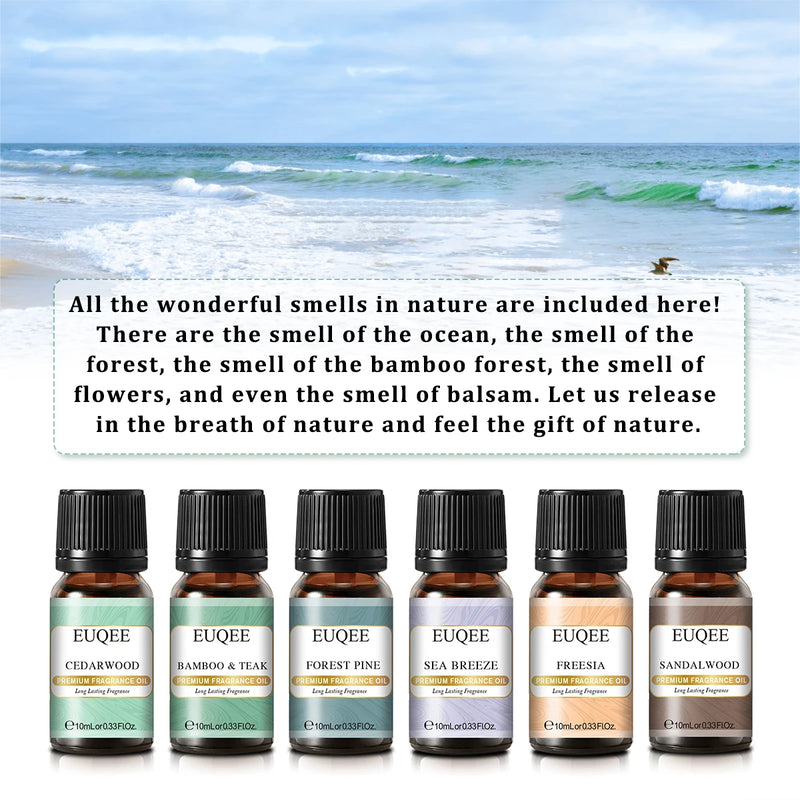 EUQEE Premium Fragrance Oils Set For Men & Women-6x10ml,Scented Essential Oil for Diffuser, Aromatherapy,Candle Making, DIY Soap